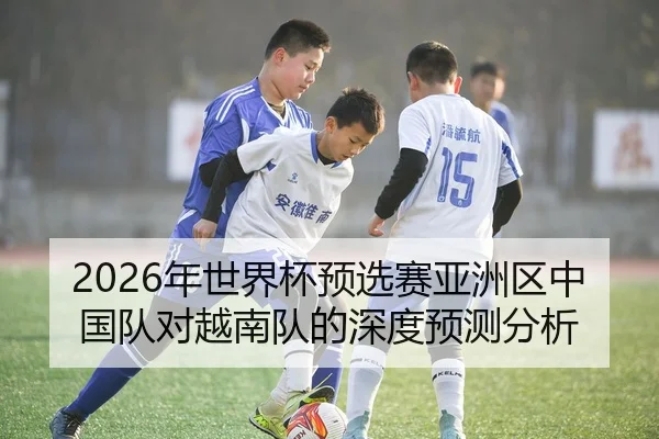 2026年世界杯预选赛亚洲区中国队对越南队的深度预测分析 - HTH Sports