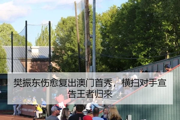 樊振东伤愈复出澳门首秀，横扫对手宣告王者归来